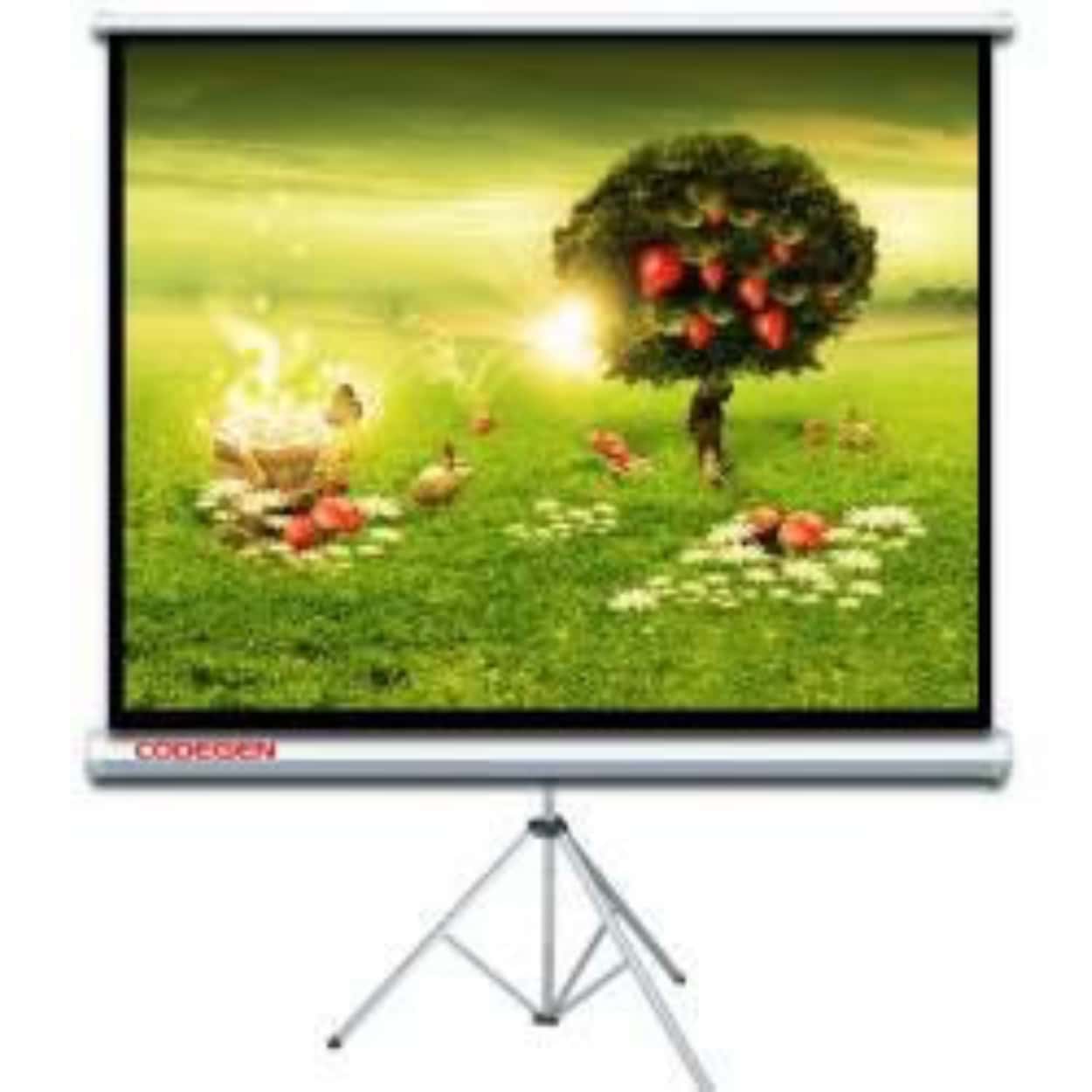 CODEGEN TX-18 AYAKLI (Tripod) 180X180 Projeksiyon Perdesi - Görsel 1